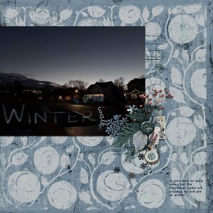 Winter Walk