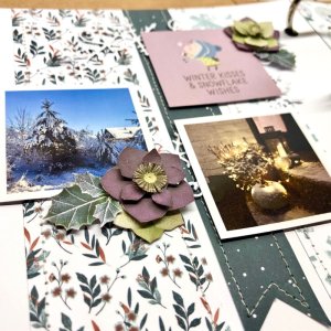 Winter is here - close up 1