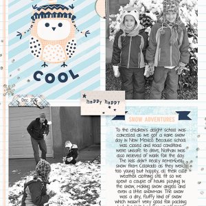 Snow much fun
