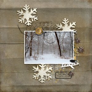 First Snow Fall