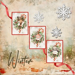 AJWK1_Winter_janisn.jpg