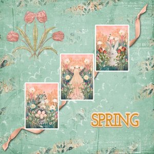 AJWk2_Spring_janisn.jpg