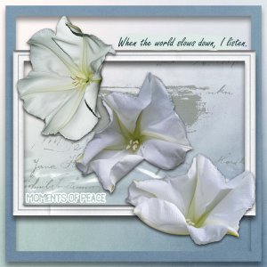 Dreaming of Moon Flowers.jpg