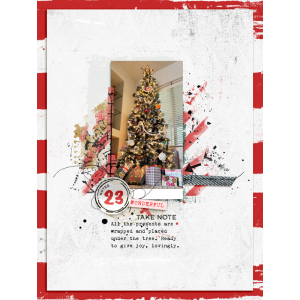 2512-DYD23-square.png