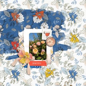 Lynn Grieveson December 2025 Challenge