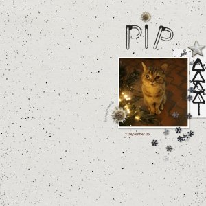 13MOC_01_Pip sit.jpg
