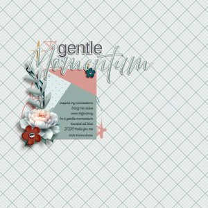 gentle momentum