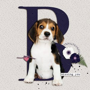 January 2: Feature Monogram