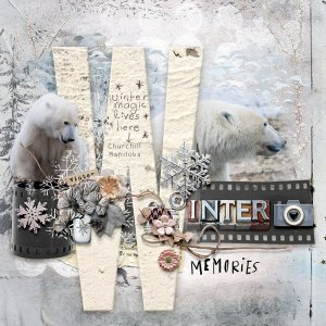Winter Memories