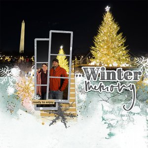 Winter Memory