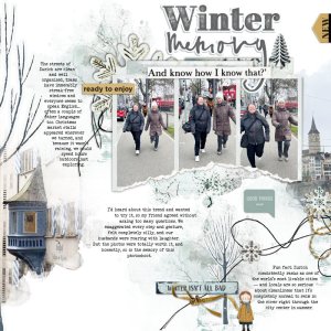 Winter Memory