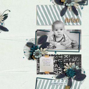 Arion