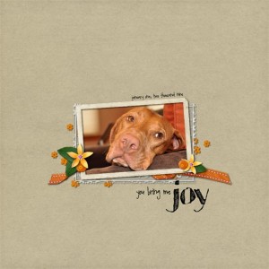 you bring me joy