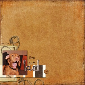 live out loud