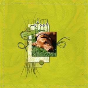 good grass