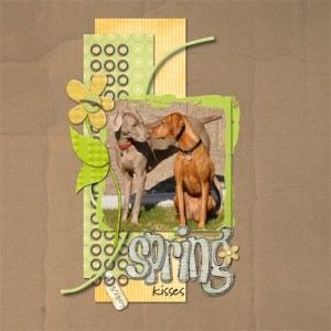 spring kisses