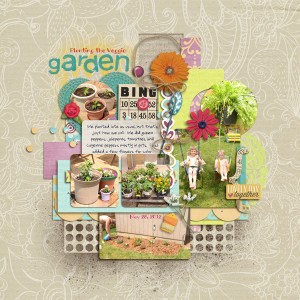 Planting Veggie Garden