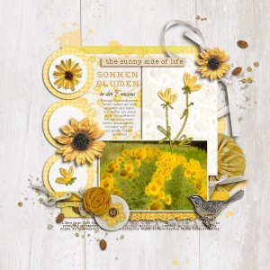 Sonnenblumen