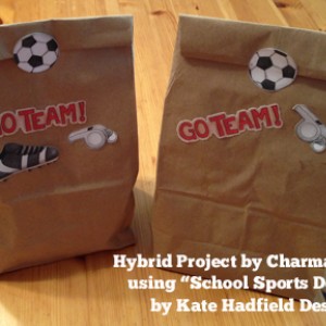 Soccer Treat Bags