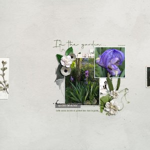 20250419-In the garden.jpg