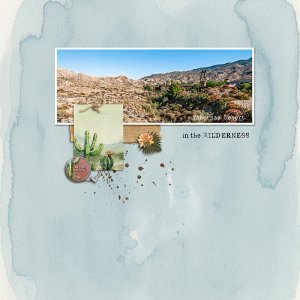 Tabernas Desert