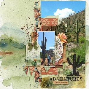 Adventures in the desert