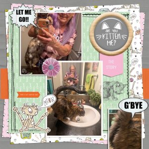 7-RE_LiveLoveMeow_Paper07.jpg