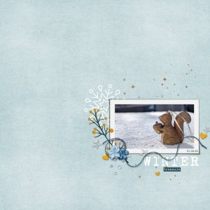 winter-treasure.jpg