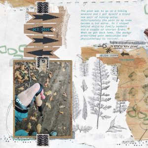 Hiking Sticks