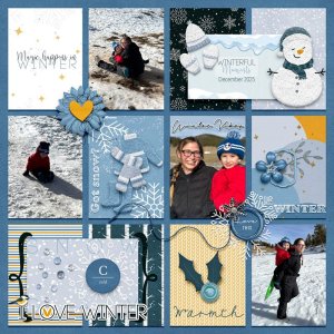 Winterful moments.jpg