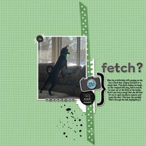 Fetch.jpg