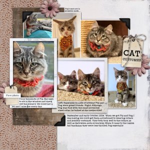 Cat Costumes 2024 MOC.jpg