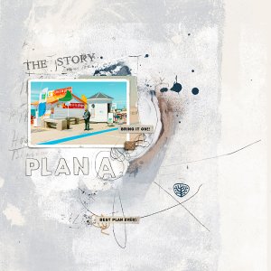 The Story