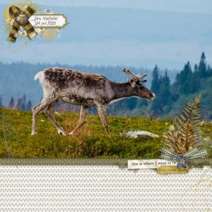 MOC 13 - Day 16 - Big photo