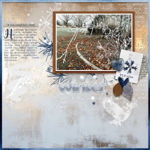Hoar frost.jpg