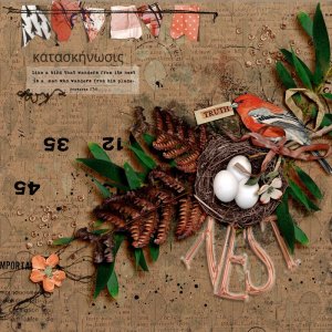 scrapchyck-Nest.jpg