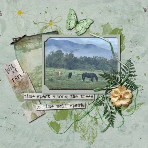 Wild Horses