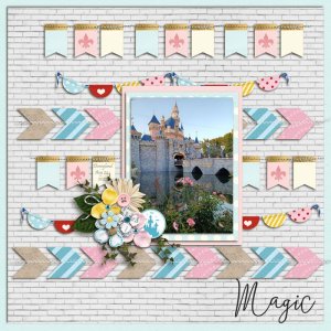 Disneyland Castle