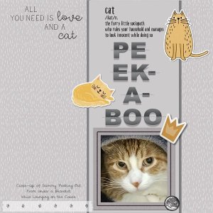 Peek-a-Boo.jpg