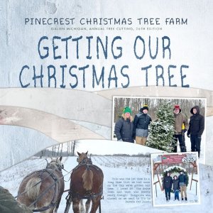 Getting Our Christmas Tree 2025 - MOC Day 22