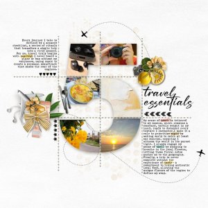 17. Travel Essential - MOC13_January17