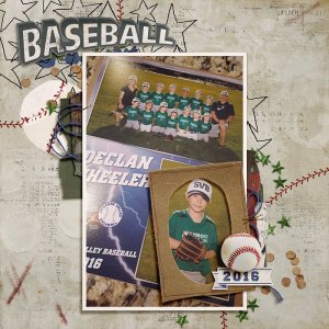 2016_6_Baseball-MOC20.jpg