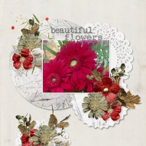beautiful flowers.jpg