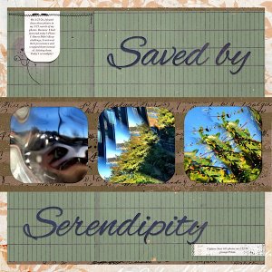 Saved by Serendipity