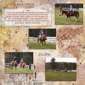HORSES---WEB.jpg