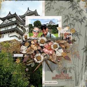 2025-Himeji-Park---JapanA-Small-Moment.jpg