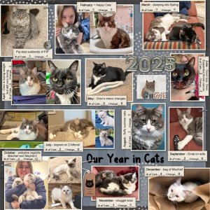 2025 a year in cats MOC.jpg