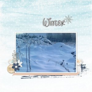 Snow time.jpg