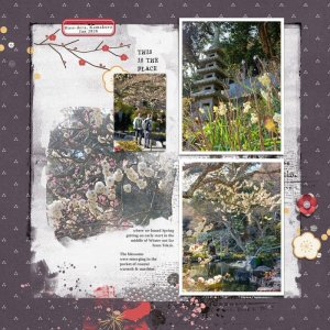 Hasdedera - Signs of Spring