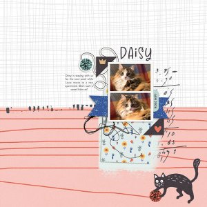 Day 27: Daisy